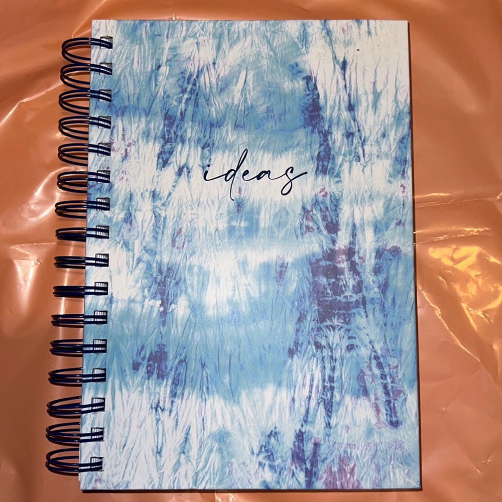 2/21 ideas  Journal